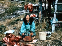 1967 Dora Johnson cutting up a moose.