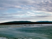 45-Tending-the-under-ice-nets