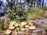 Late 1969 Baskets Lorene collected to sell to the Jade store in Kotz.