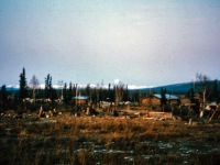 Moon over the village.