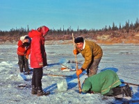 Ambler-ice fishing  9.70_0002