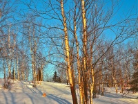 Kobuk slideshow_0006