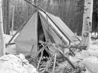 Olivers-tent-and-firewood-sawhorses
