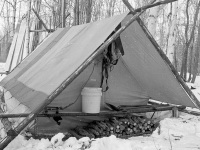Olivers-tent-with-firewood-stacked-behind-along-with-dog-harnesses